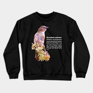 Streaked saltator tropical bird white text Crewneck Sweatshirt